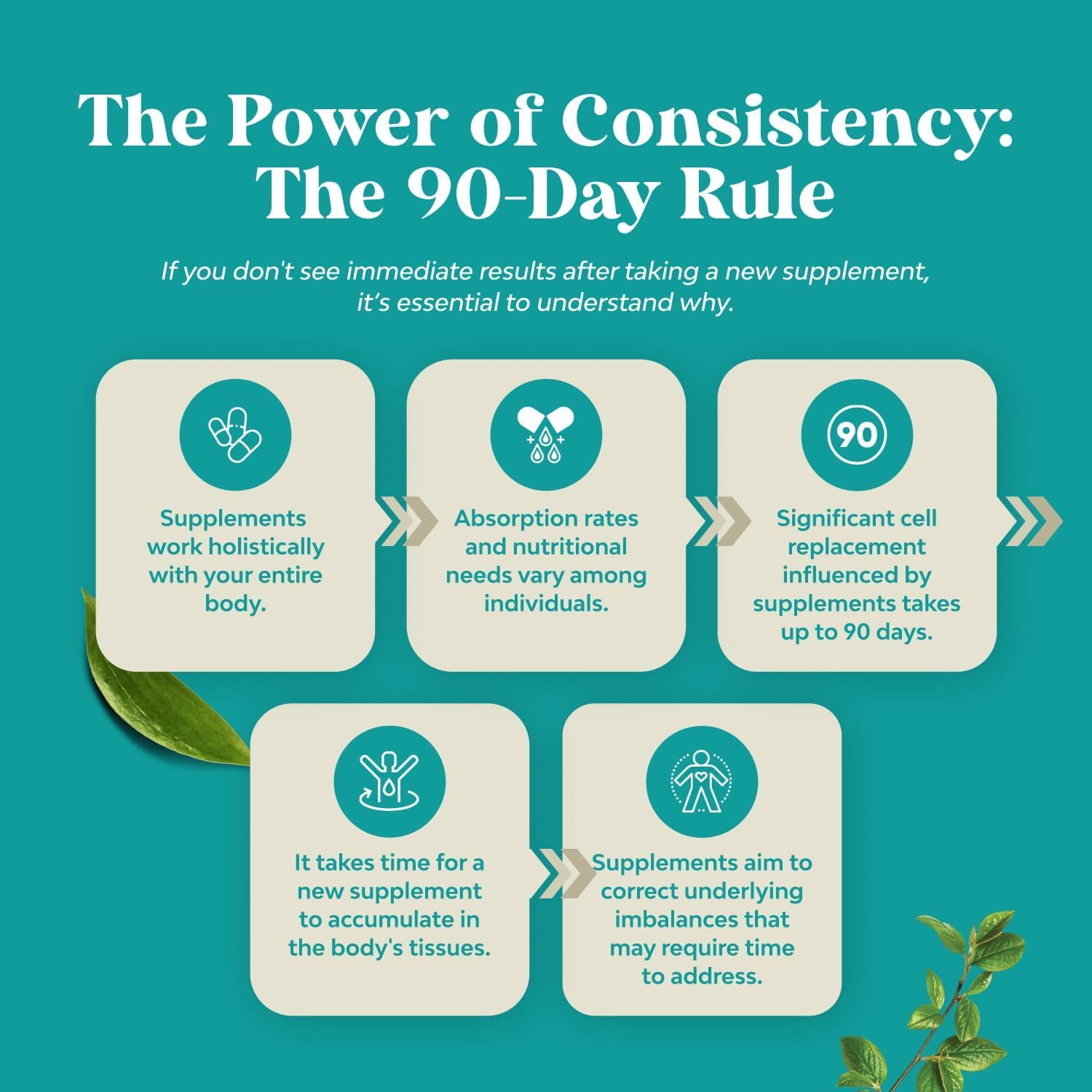 Liver Cleanse Detox & Repair - Milk Thistle Supplement for Digestion & Immune Health - Ginger Root, Choline & Dandelion Root - Herbal Liver Support with Silymarin, Beetroot & Artichoke - 70 Count - Image 8