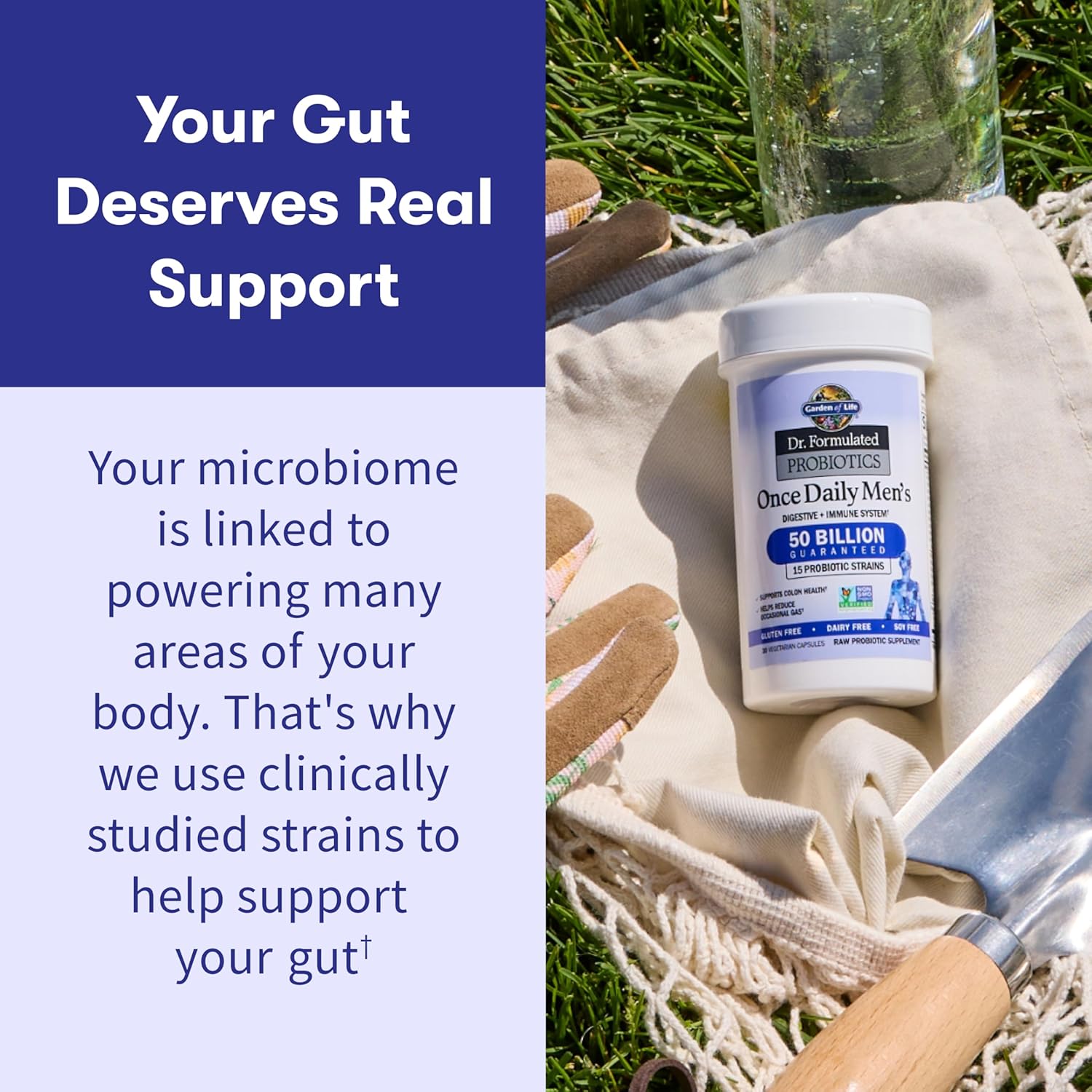 Garden of Life Probiotics for Men, Dr Formulated 50 Billion CFU 15 Probiotics for Digestive Health + Organic Prebiotic Fiber, Colon & Immune Support, Daily Gas Relief, Shelf Stable, 30 Capsules - Image 5